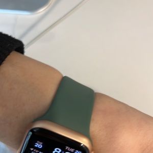 Apple Watch Band 41 Eucalyptus Green Size 2 Authentic Original